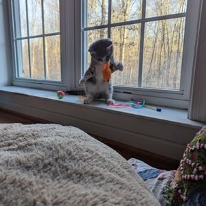 Meet your Posher, Mallory